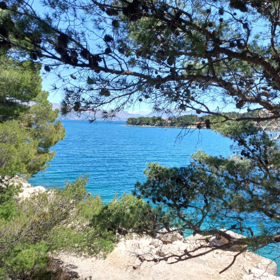 Kuca Za Odmor Skalina - Sea View Villa Splitska Exteriör bild